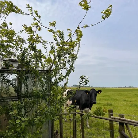 Cabin Lucht Domek letniskowy