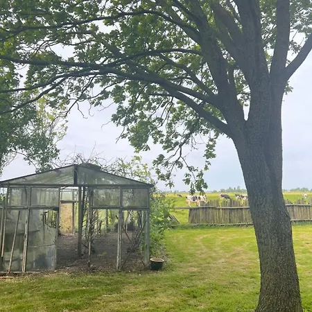 Cabin Lucht Domek letniskowy Zuidermeer